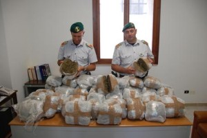 droga: 53 kg marijuana a Brindisi