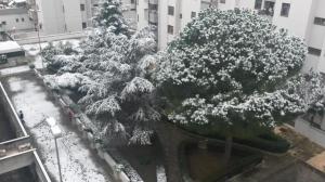 neve brindisi