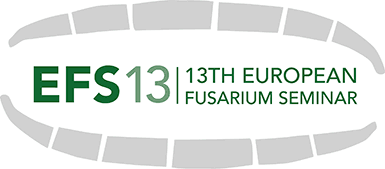 efs13logo