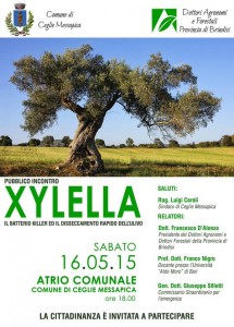 xylella convegno sabato