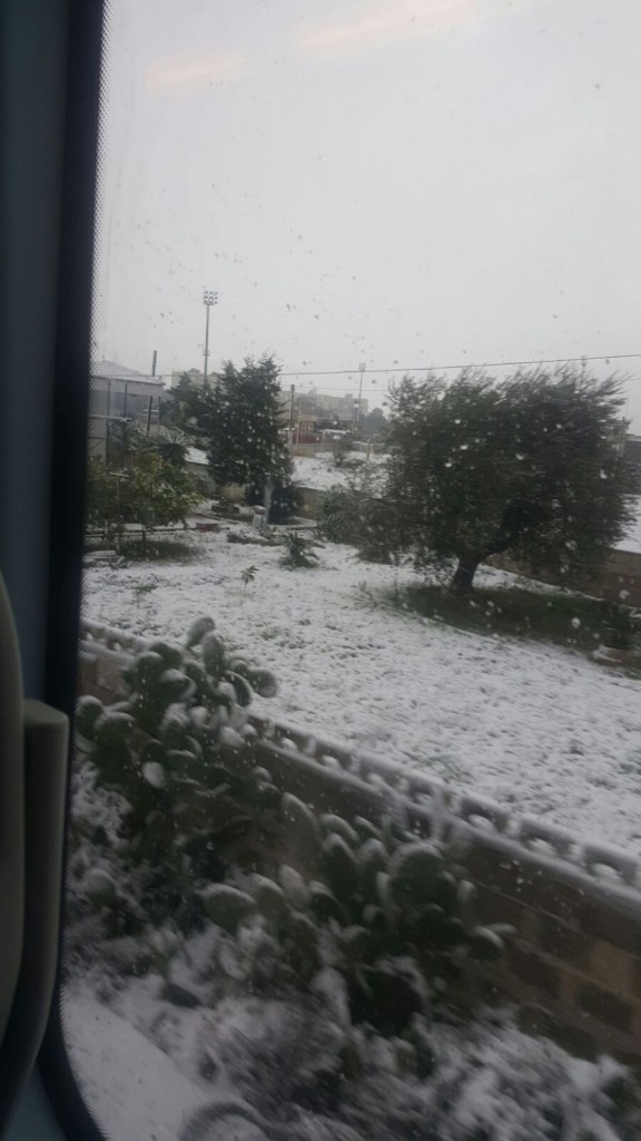 treno sud est neve