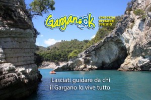 CONSORZIO-GARGANO-OK