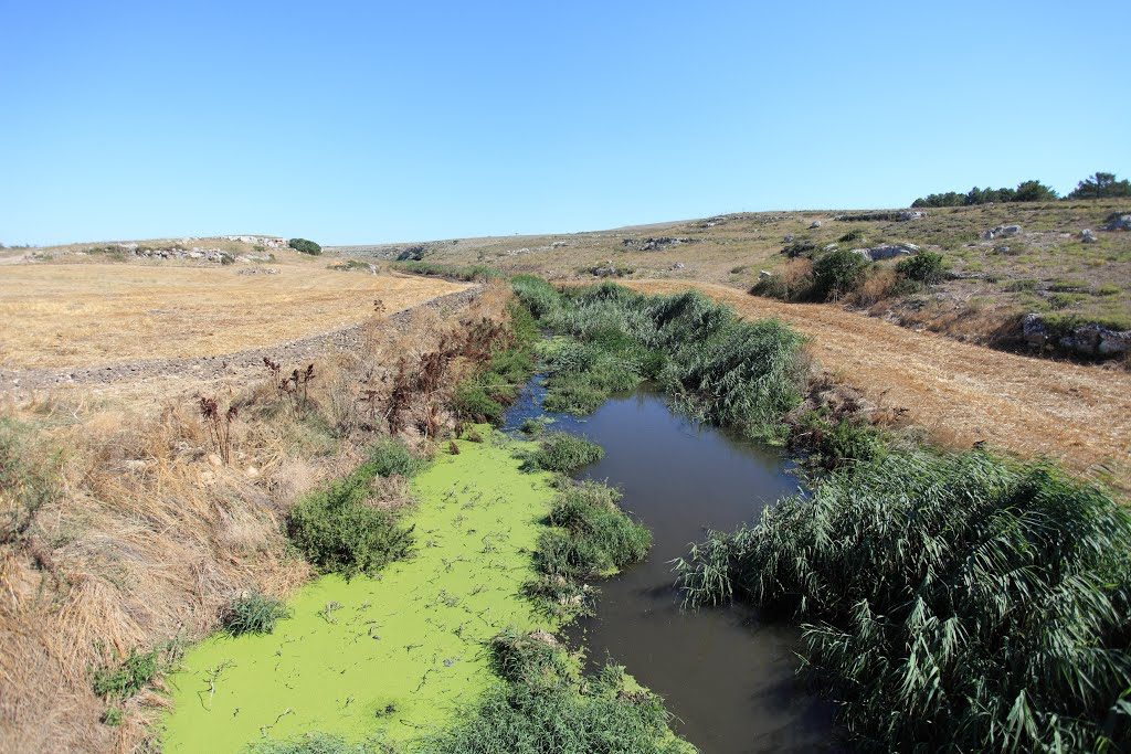 FOTO torrente JESCE 2