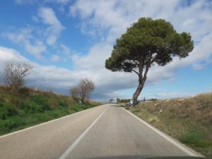 VIA FRANCIGENA APPIA ANTICA PUGLIA scaled