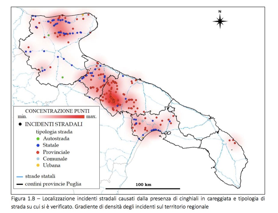 cartina incidenti Puglia causati da cinghiali