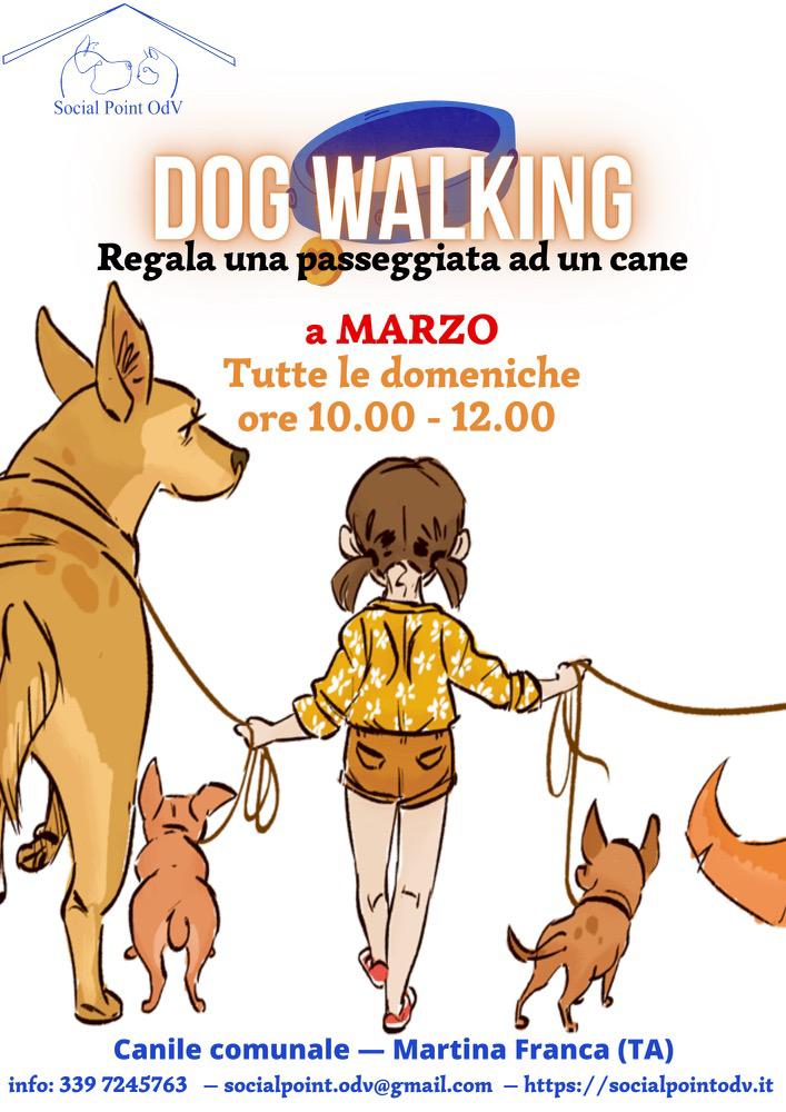 dog walking canile comunale martina