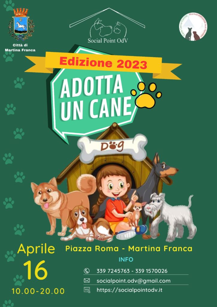 adotta un cane 16 aprile 2023