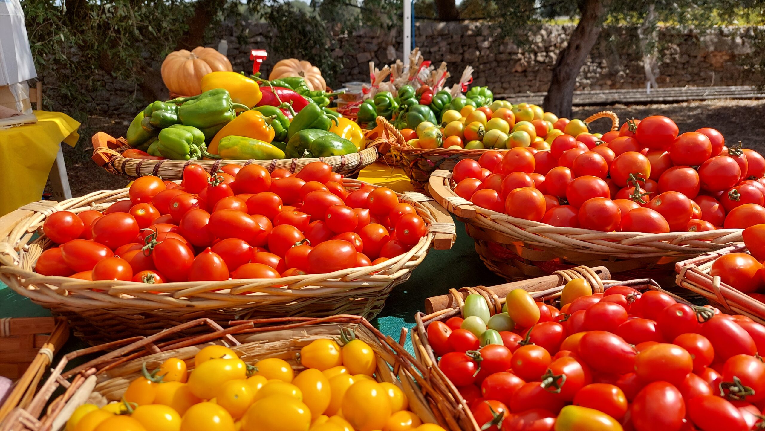 Il decalogo antispreco Coldiretti Puglia