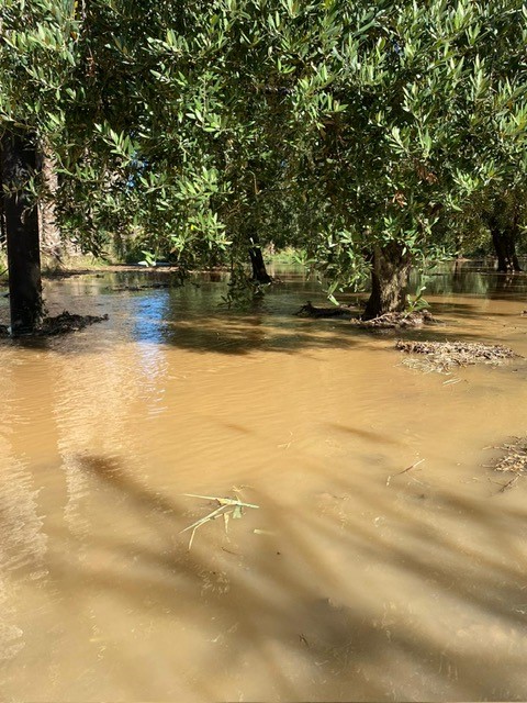 Campi allagati per falla in condotta Paoloni a Massafra In Puglia a causa delle reti colabrodo va perso 1 litro di acqua su 2