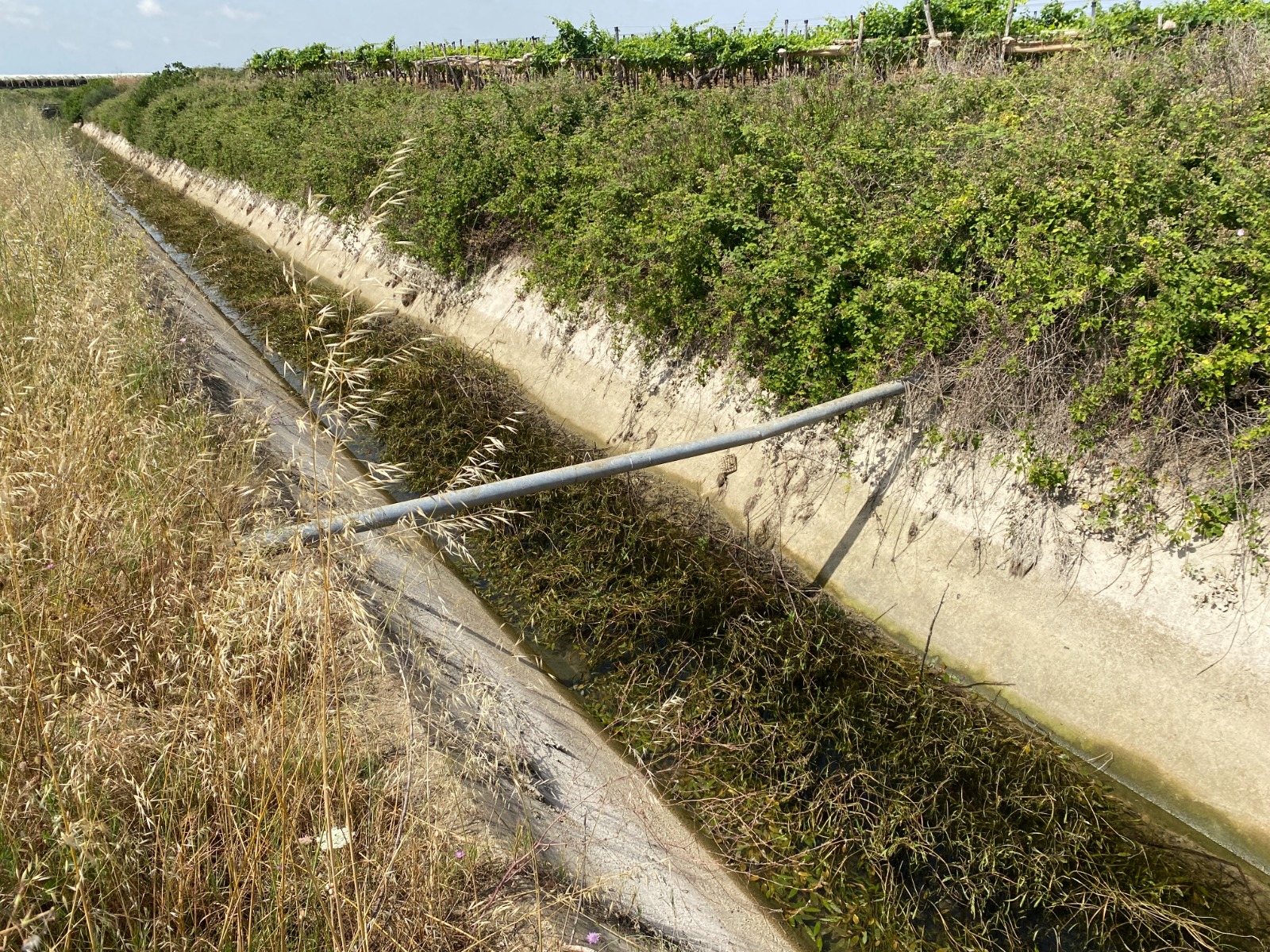 Agricoltura Coldiretti 