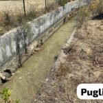 Canale adduttore (8) Puglia