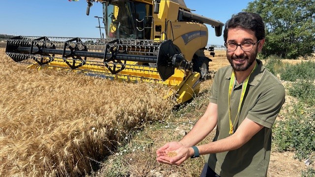 Grano pugliese di alta qualità Nessun alibi riconoscere giusto prezo