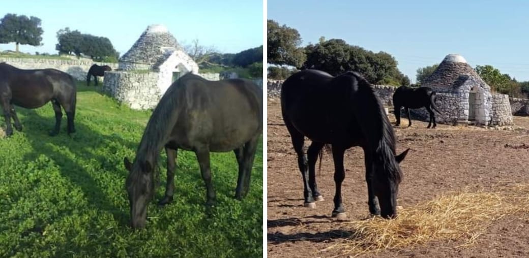 Martina Franca, ottobre 2022 ieri Urgente la pioggia