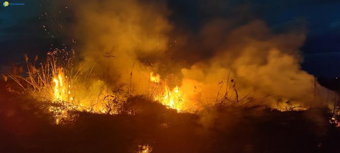 Torre Guaceto: incendio al chiaro d’acqua più grande della riserva, si teme il dolo Intervento dei vigili del fuoco