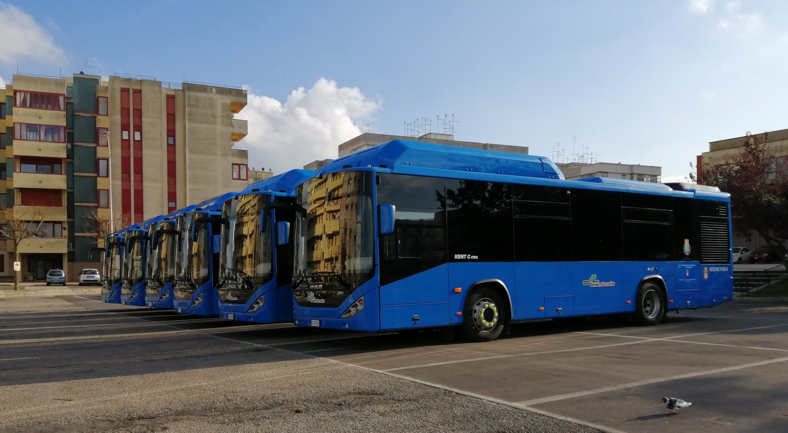 Martina Franca: da oggi al 6 gennaio pullman gratis per tutti Incentivo alla mobilità alternativa