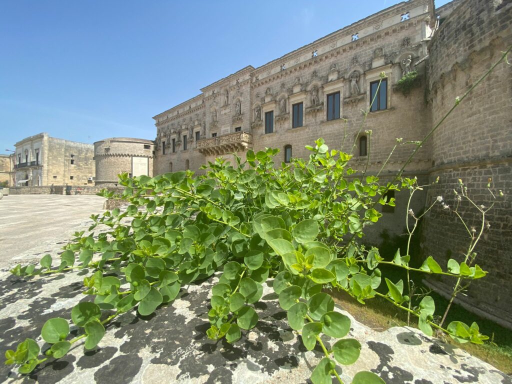 Castello Volante esterno