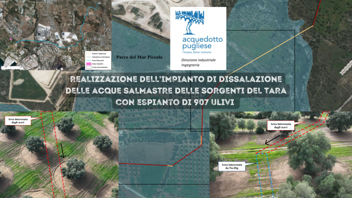 Dissalatore fiume Tara: previsto l’espianto di 907 ulivi VeraLeaks