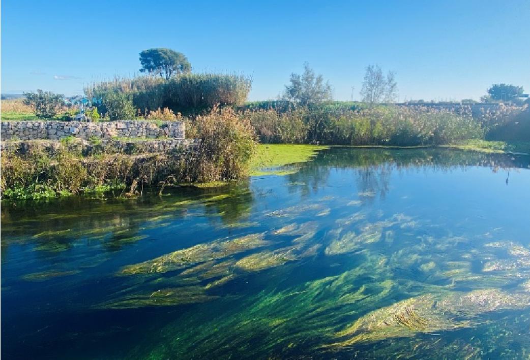 Taranto: comitato, no al dissalatore sul fiume Tara Ieri la manifestazione