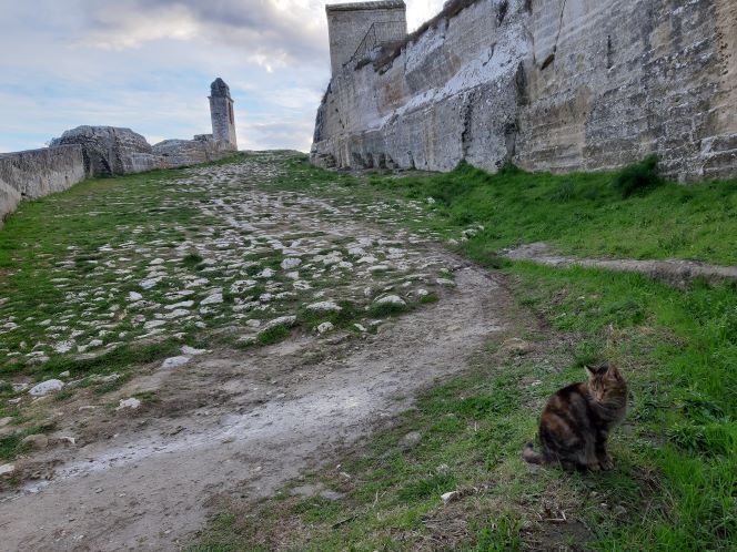 GRAVINA ARCHEOLOGICA