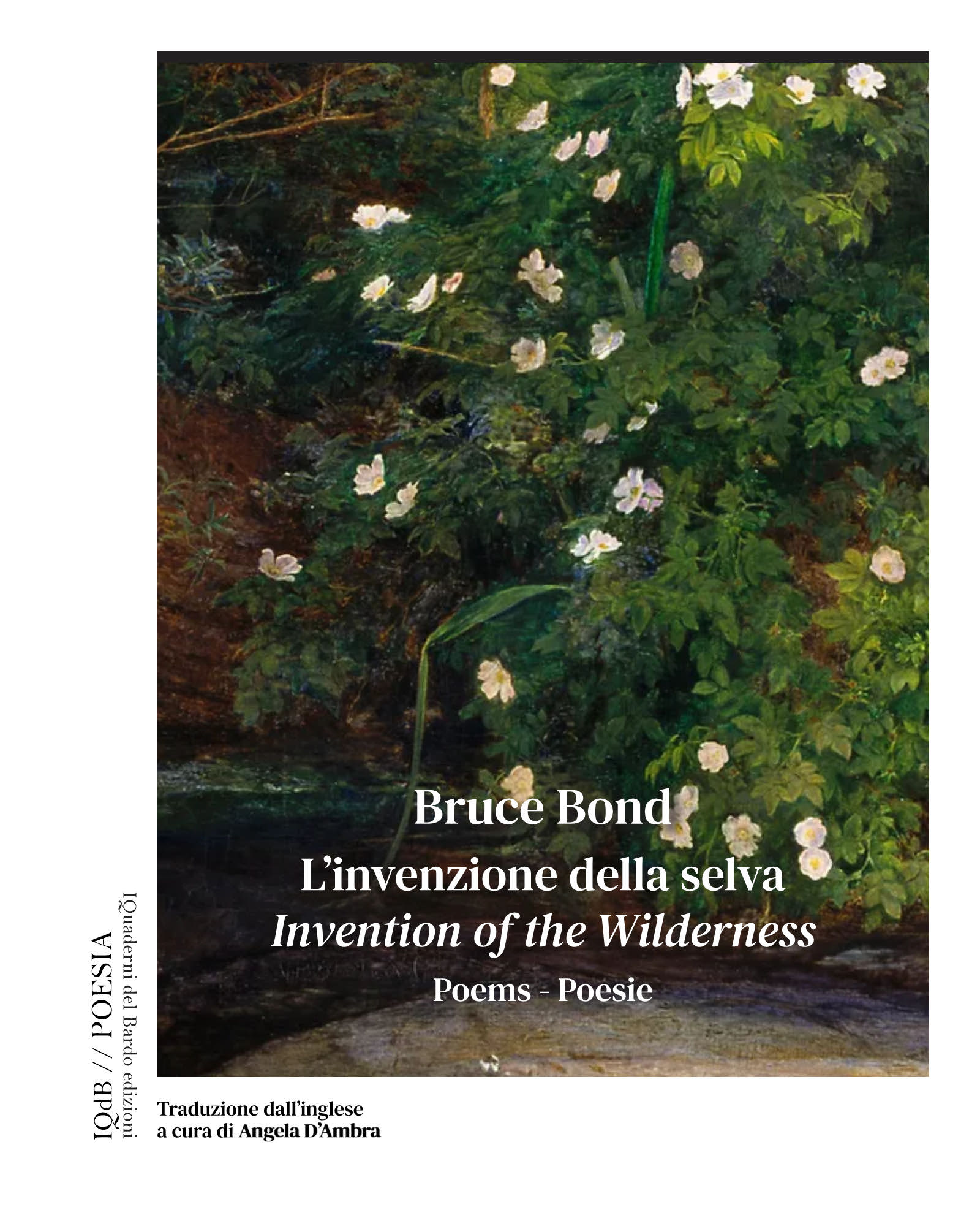 “L’invenzione della selva” pubblicato dall’editore salentino Libro